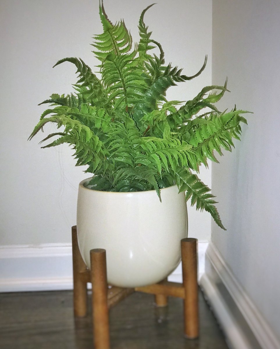 TreshaJA's tweet photo. I love to decorate my home with flowers/ plants. However, some require a lot of maintenance. When you don’t have a green thumb... faux it is. Who else likes to decorate with fresh greenery? https://t.co/2UnfoEmkgm