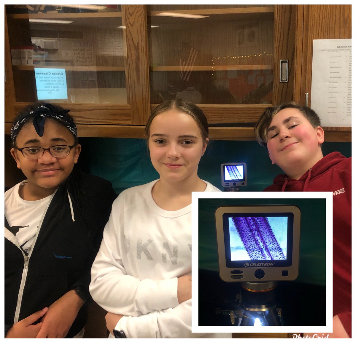 In 7th grade we witnessed the stages of mitosis while looking at onion root tip cells.