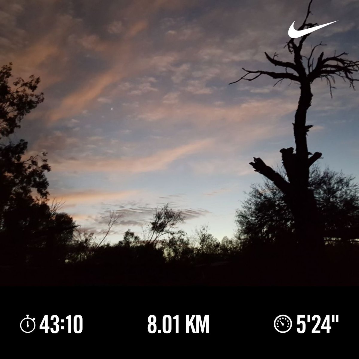 MartHerr12's tweet photo. Que bonita tarde..
#runlight
#YoElegiCorrer
#runnight https://t.co/nnnN5yncGq