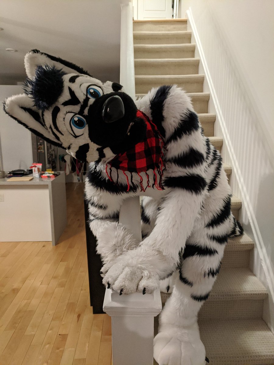 RhyeRhythm's tweet photo. Love coming home from a long day to getting tackled by a big friendly @Zolar_the_Zolf! https://t.co/8V1fpPip9U