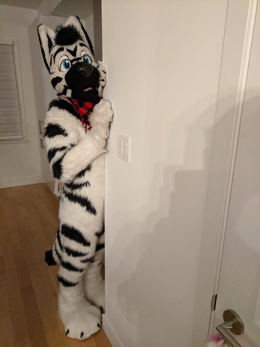 RhyeRhythm's tweet photo. Love coming home from a long day to getting tackled by a big friendly @Zolar_the_Zolf! https://t.co/8V1fpPip9U