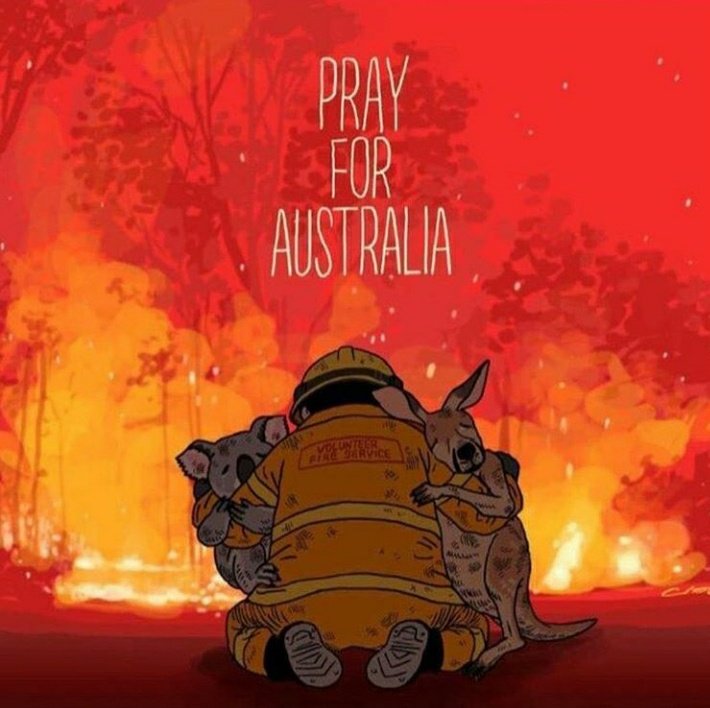 skztrue's tweet photo. lo que posteo chris enserio me rompe el alma, no quiero pensar lo mucho que deben estar sufriendo él y felix por esta situación horrible, hay miles de animales muriendo y lugares destruidos por los incendios, tienen todo mi apoyo y espero que esto pase pronto #PrayForAustralia https://t.co/9T0p1icXVU