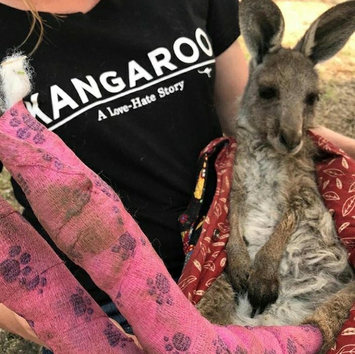 skztrue's tweet photo. lo que posteo chris enserio me rompe el alma, no quiero pensar lo mucho que deben estar sufriendo él y felix por esta situación horrible, hay miles de animales muriendo y lugares destruidos por los incendios, tienen todo mi apoyo y espero que esto pase pronto #PrayForAustralia https://t.co/9T0p1icXVU