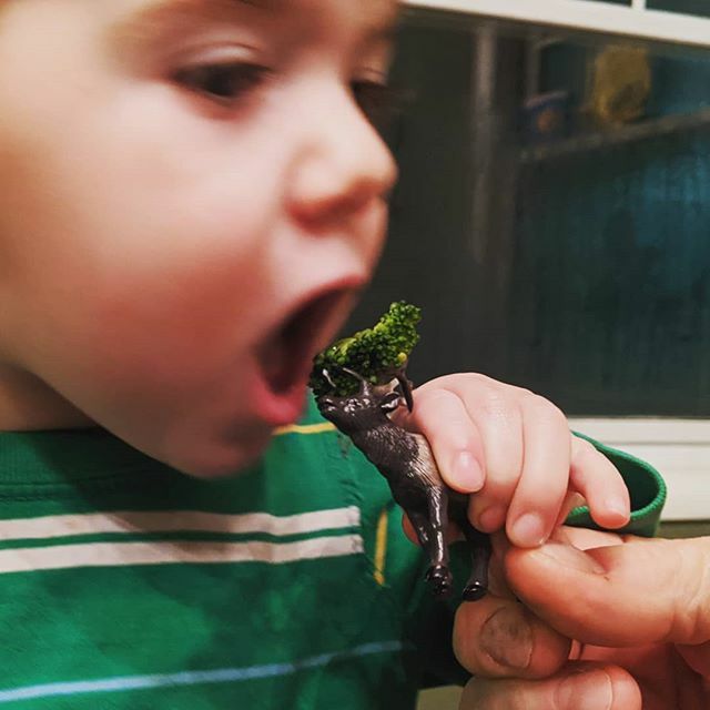 chesterdavidMT's tweet photo. When an Elk figurine gets brought to the table.  #montanakids #elk #montanaelk #montana https://t.co/Kt7FID7TG6 https://t.co/HypbSewGSU