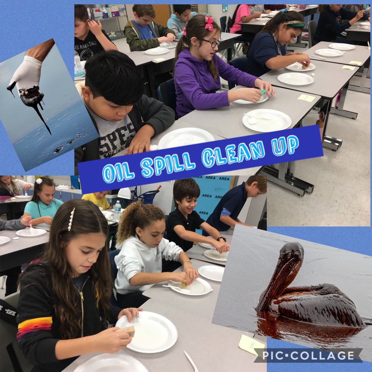 MommaSamSilver's tweet image. 5th graders working hard to separate mixtures. How easy is it to separate oil and water when an oil spill occurs? Students realized today that it can be a messy cleanup. @SPESleader @KristinMenschel @ShineonSPES #sciencelove #oilspill