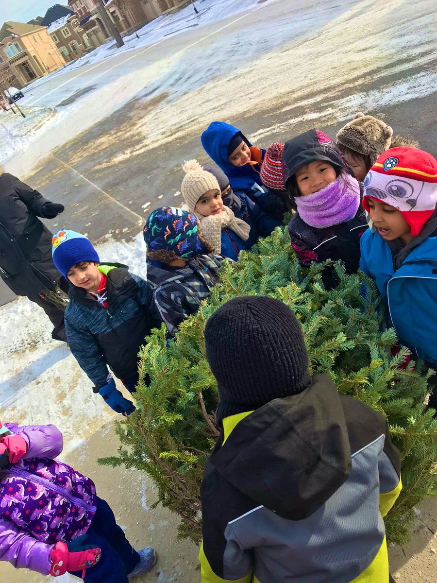 mindful_mssmith's tweet image. Tomorrow is Christmas tree collection in the Oodenawi community so KF1 quickly ventured outside period 4 to collect as many as we could for our playground. We were able to find four on our walk. We can use them as forts or loose parts. Can’t wait to see what the children create.