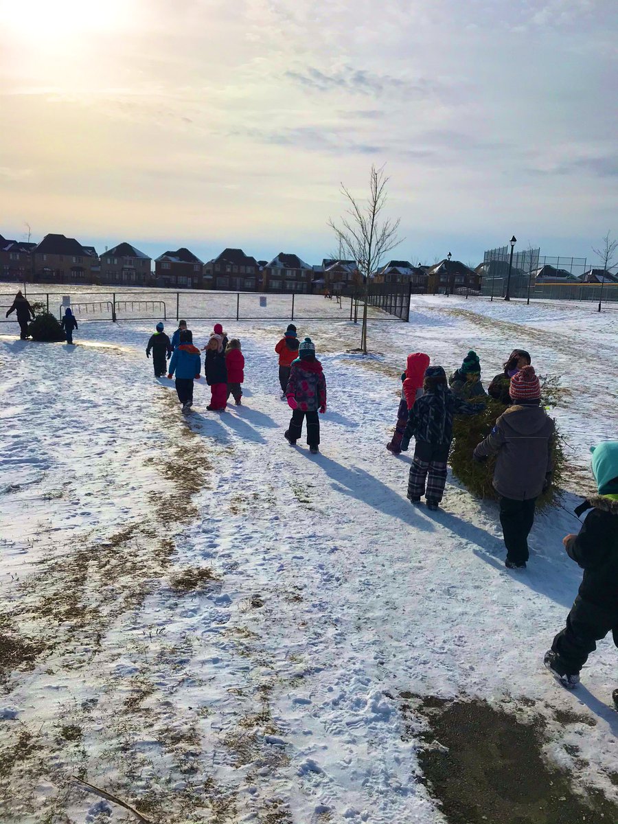 mindful_mssmith's tweet image. Tomorrow is Christmas tree collection in the Oodenawi community so KF1 quickly ventured outside period 4 to collect as many as we could for our playground. We were able to find four on our walk. We can use them as forts or loose parts. Can’t wait to see what the children create.