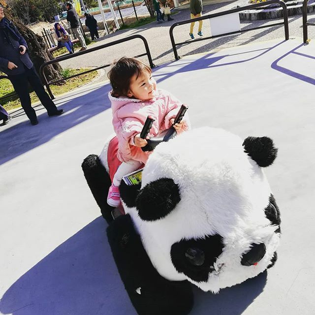 ﾊﾟﾝﾀﾞの乗り物