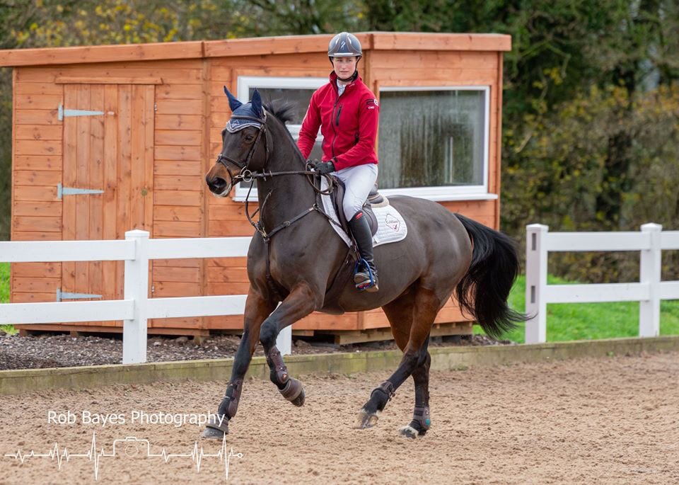 _k8_e_'s tweet photo. 1st and 2nd for this lovely pair at our first show of the year 🙌👌 https://t.co/0g6SkwhZuB