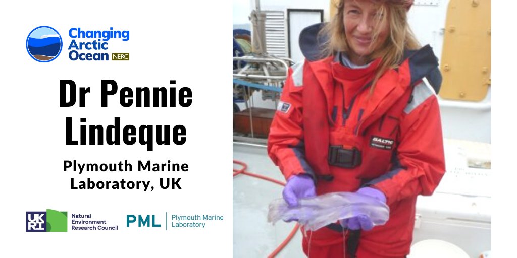 NERC_CAO's tweet image. #MeetAScientist: @LindequePk from @PlymouthMarine is a co-investigator in #DIAPOD

She is an expert in the development, systematics and trophic interactions of eukaryotes

Info: bit.ly/CAOPennie

@NERCscience #UKinArctic @BMBF_Bund #ArktisImWandel