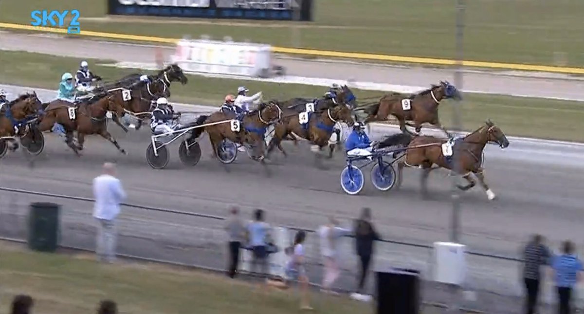 Alabarfarms's tweet photo. Chase Auckland (#AucklandReactor - Delicata) flew home to win the Group 3 Cambridge Flying Mile!
The win rounds off his preparation nicely for his Australian campaign. https://t.co/texyiF3Kbt