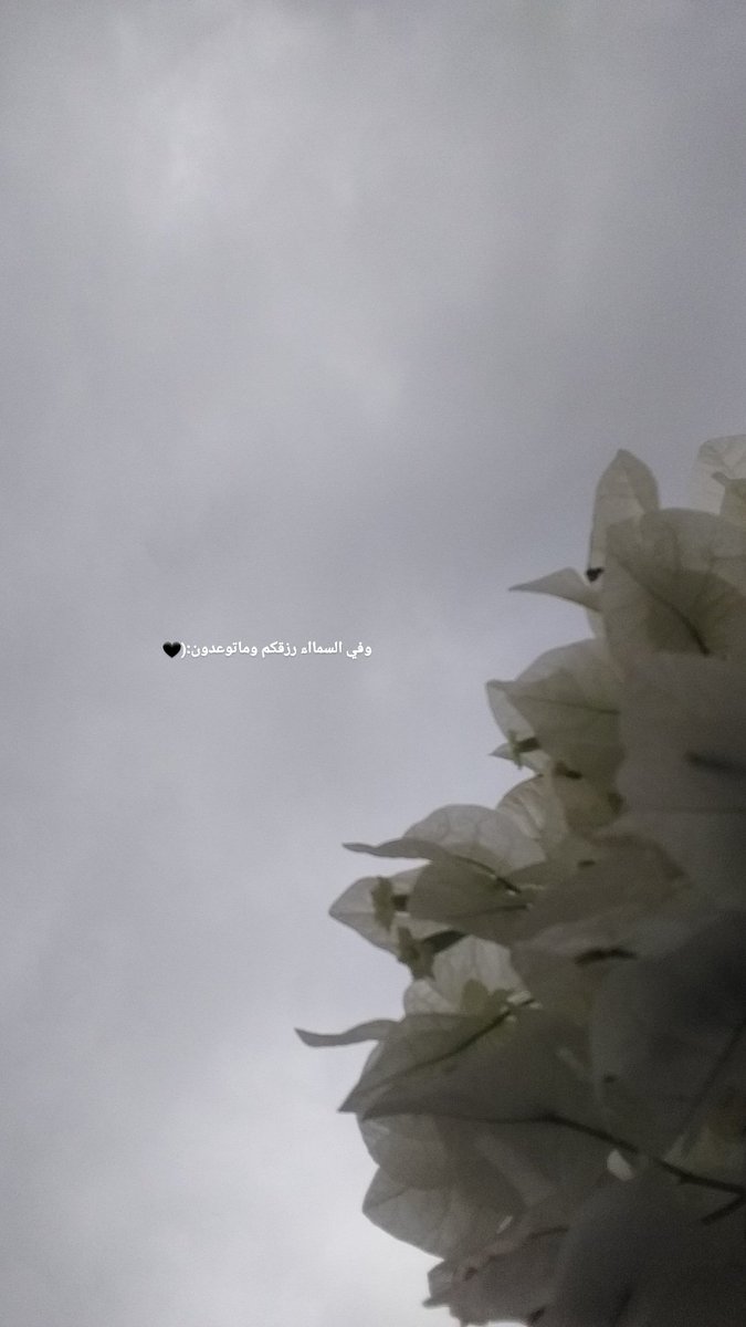 أغمر قلبك في حُبِ التفاصيل الصغيرة
وستجد نفسك واقعاً بِحُبِ الحياة ~❤