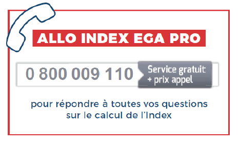 PrefetOccitanie's tweet photo. #Index de l’#égalité professionnelle : ouverture d’une hotline !
Depuis hier, une assistance téléphonique vient compléter le dispositif d’accompagnement, permettant d’aider les entreprises de 50 salariés et plus à calculer leur Index. #DIRECCTEOccitanie➡️https://t.co/0KvN7lfGTj https://t.co/62xarLl8Fc