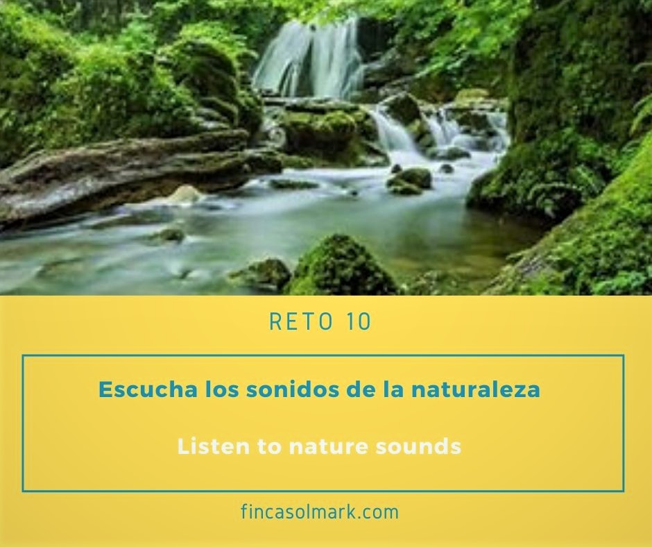 FSolmark's tweet photo. La naturaleza nos habla. 🌳Escúchala! El nacimiento de agua en un arroyo, los cantos de los pájaros🐦, el viento, la pisada en tierra mojada, la lluvia, el ladrido de un perro, los zumbidos de las abejas🐝,... ¿Por qué no probar a vivir de una forma más consciente? https://t.co/9uVGgMfUUB