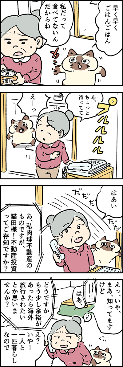 おばあちゃん、
ごはん、はやく～はやく～?

第46話「思わぬご褒美」

『猫のおふくちゃん』の最新話は毎週金曜日に連載中♪
⇒( 

#猫のおふくちゃん 