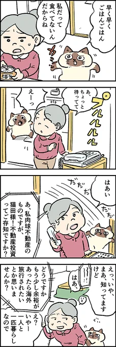 おばあちゃん、ごはん、はやく～はやく～?第46話「思わぬご褒美」『猫のおふくちゃん』の最新話は毎週金曜日に連載中⇒( #猫のおふくちゃん 