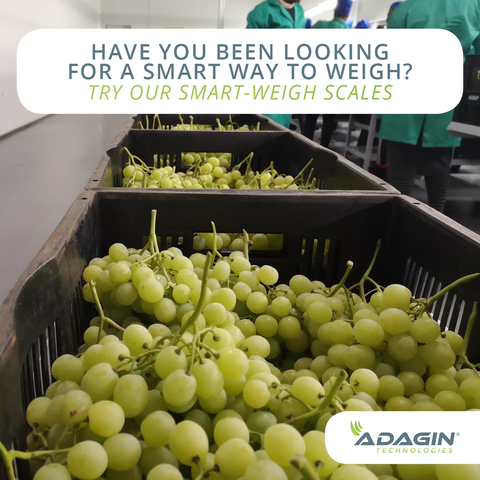 AdaginT's tweet photo. Measure accurately and receive data that can help increase your income.

SMART-WEIGH SCALES!

https://t.co/t7zjLwJbDe

#adagintech #agriculturaltech #agriculture #smartfarming #agritech #precisionfarming #smartscales https://t.co/DRuErqtngv