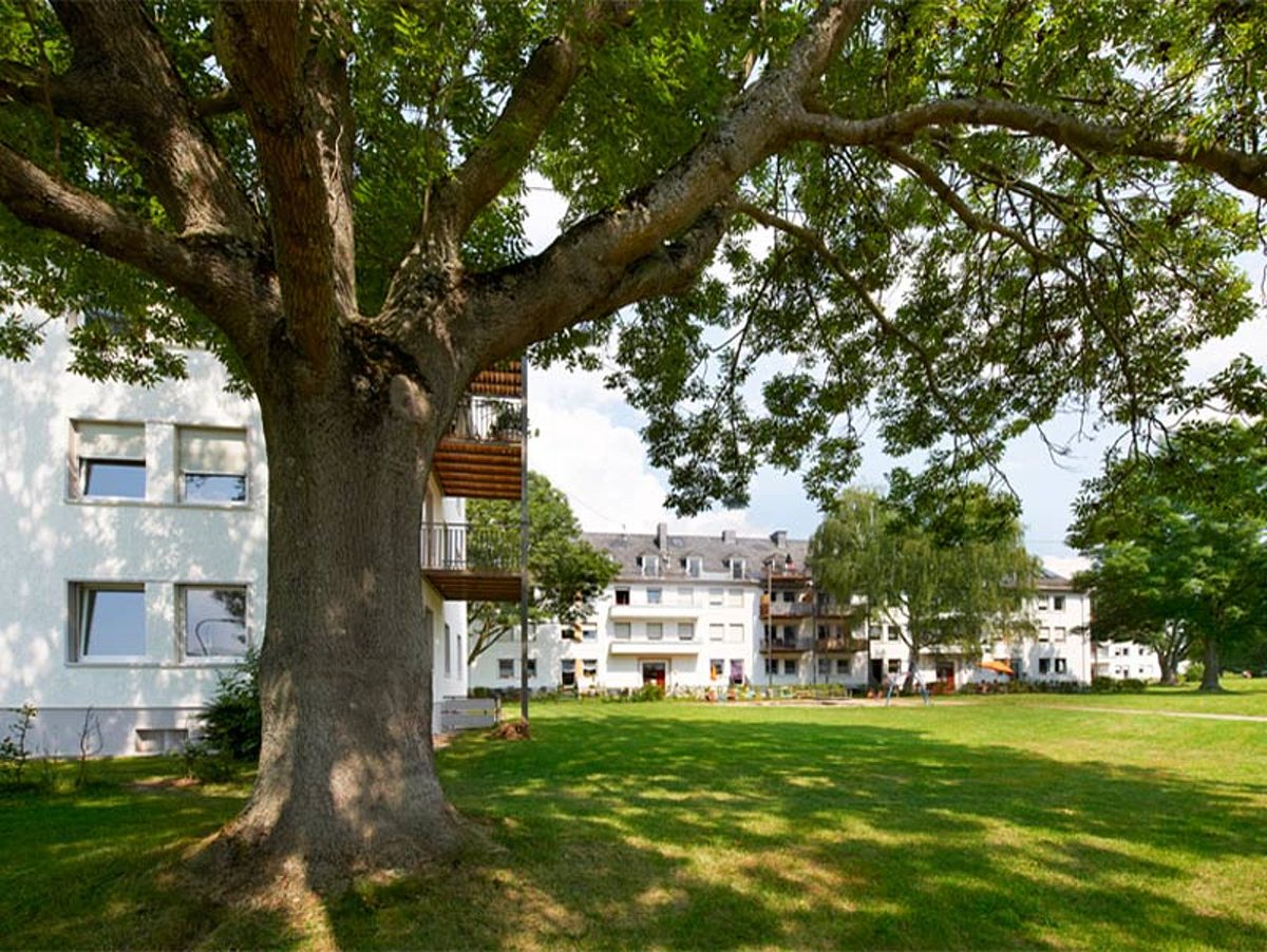 AllegronGroup's tweet photo. Heute stellen wir Ihnen das Wohnquartier Sonnwiese unser DIWO Home vor. 
Die Sonnwiese zeichnet sich vor allem durch großzügige Grünflächen sowie eine optimale Nahversorgung aus.

https://t.co/hS6ra2swjq

#koblenz #entwicklung #immobilien #realestate https://t.co/85dWBPz5OF
