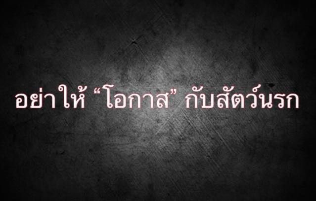 เรื่องจริงผ่าน Wall tweet media
