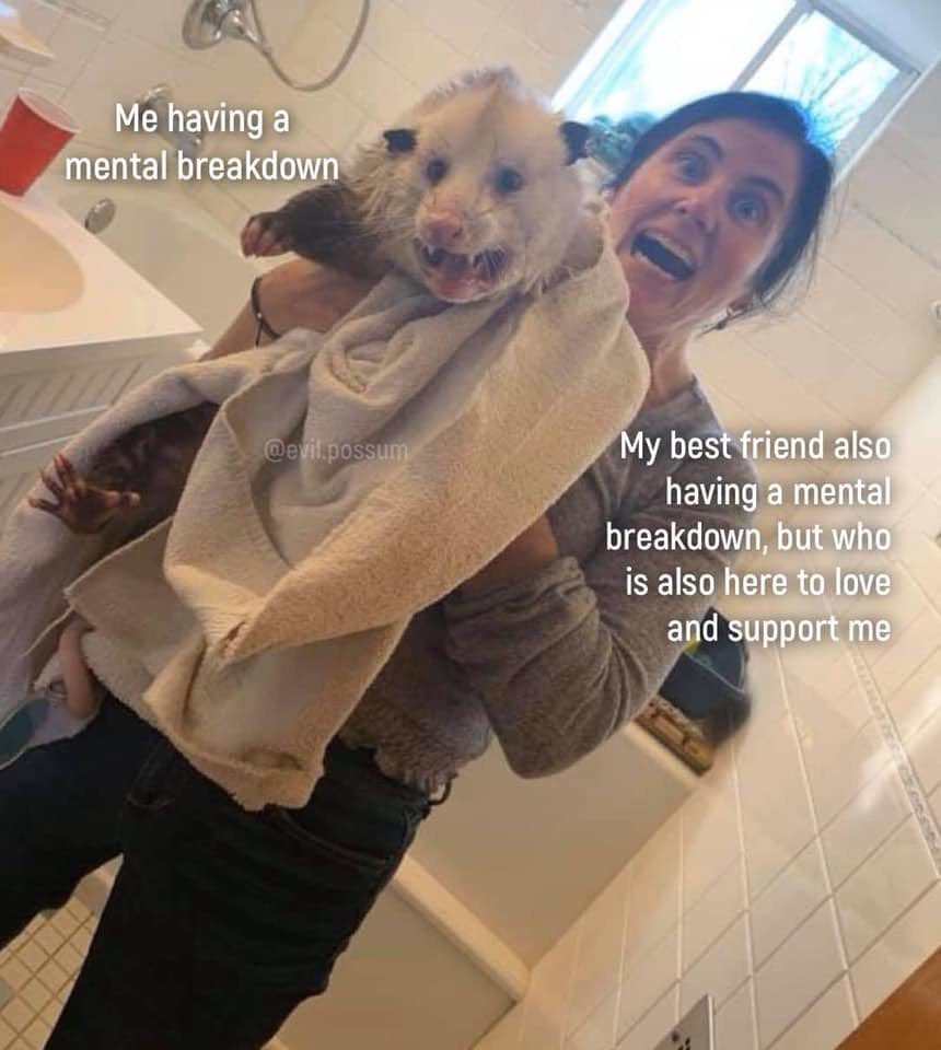 TheMissBritni's tweet photo. @ceciliasusan us today... https://t.co/S2d729Pmdu
