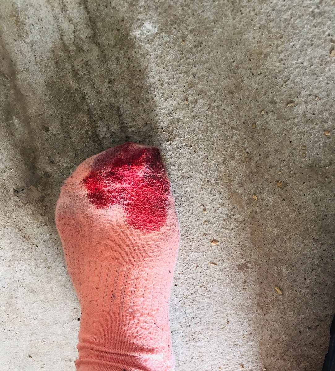 GennaGeee's tweet photo. What are toe nails for anyway #yearlingprep https://t.co/3LlEEqz1sd