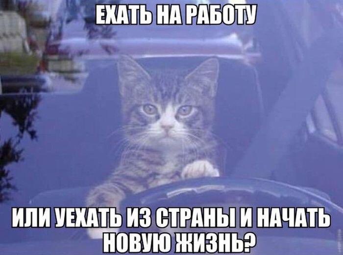 Intelligentka's tweet image. 