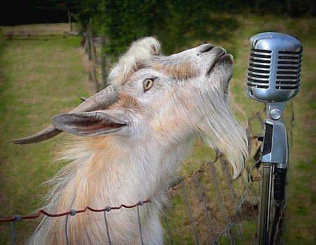 ovolowry's tweet image. rare pictures of drake &amp;amp; future recording life is good