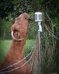 ovolowry's tweet image. rare pictures of drake &amp;amp; future recording life is good