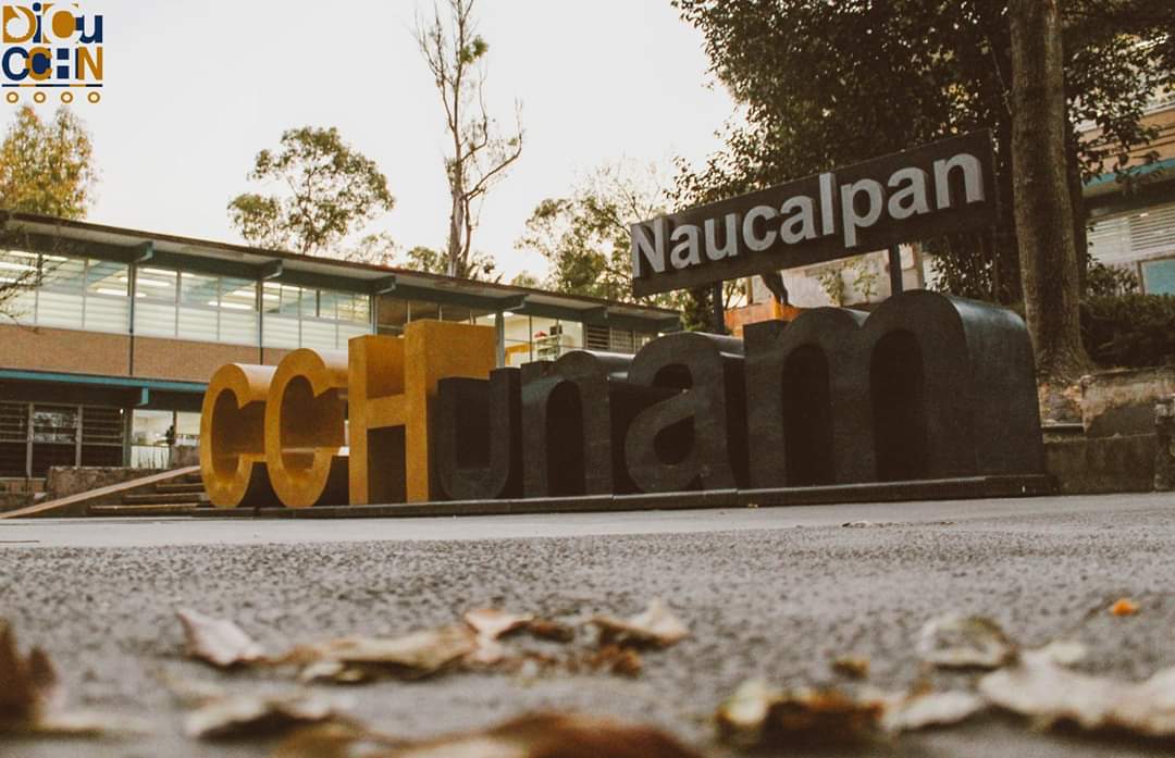 dicucchn's tweet photo. Los pasillos de CCH, son espacios que recorremos a diario, pero por lo regular no les prestamos atención, a pasar de ser lugares especiales para algunos, en esta serie capturamos algunos de los lugares cotidianos del plantel. 📸🏡
.
Fotos por: @sebnolose https://t.co/YBlUjWaCZ7