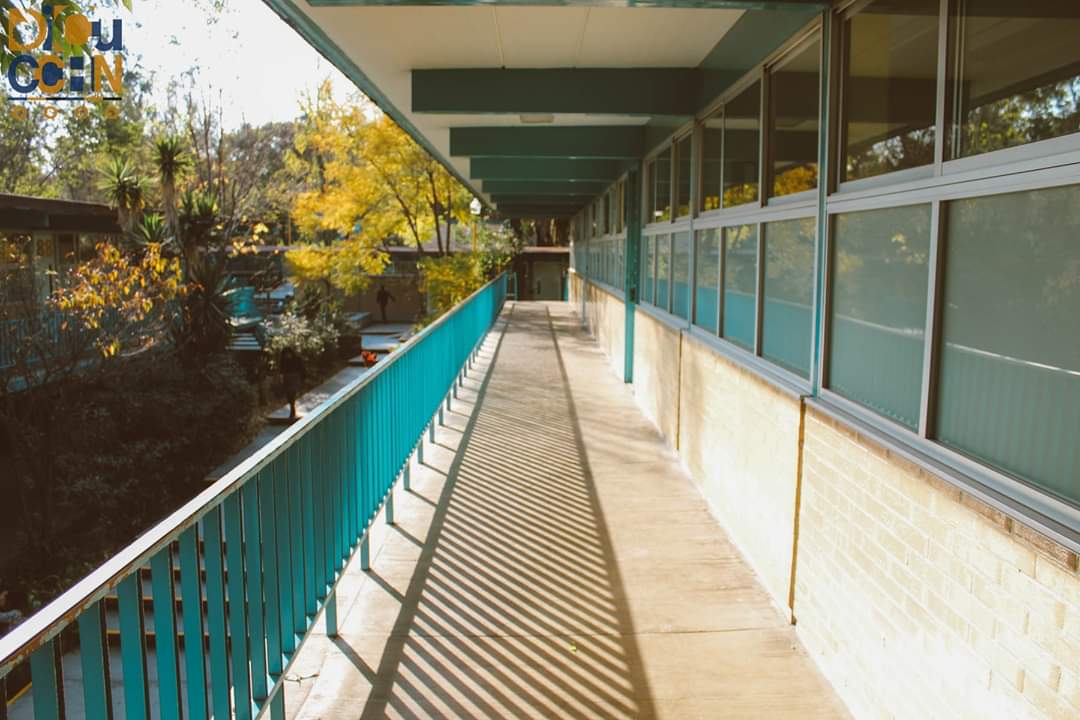 dicucchn's tweet photo. Los pasillos de CCH, son espacios que recorremos a diario, pero por lo regular no les prestamos atención, a pasar de ser lugares especiales para algunos, en esta serie capturamos algunos de los lugares cotidianos del plantel. 📸🏡
.
Fotos por: @sebnolose https://t.co/YBlUjWaCZ7