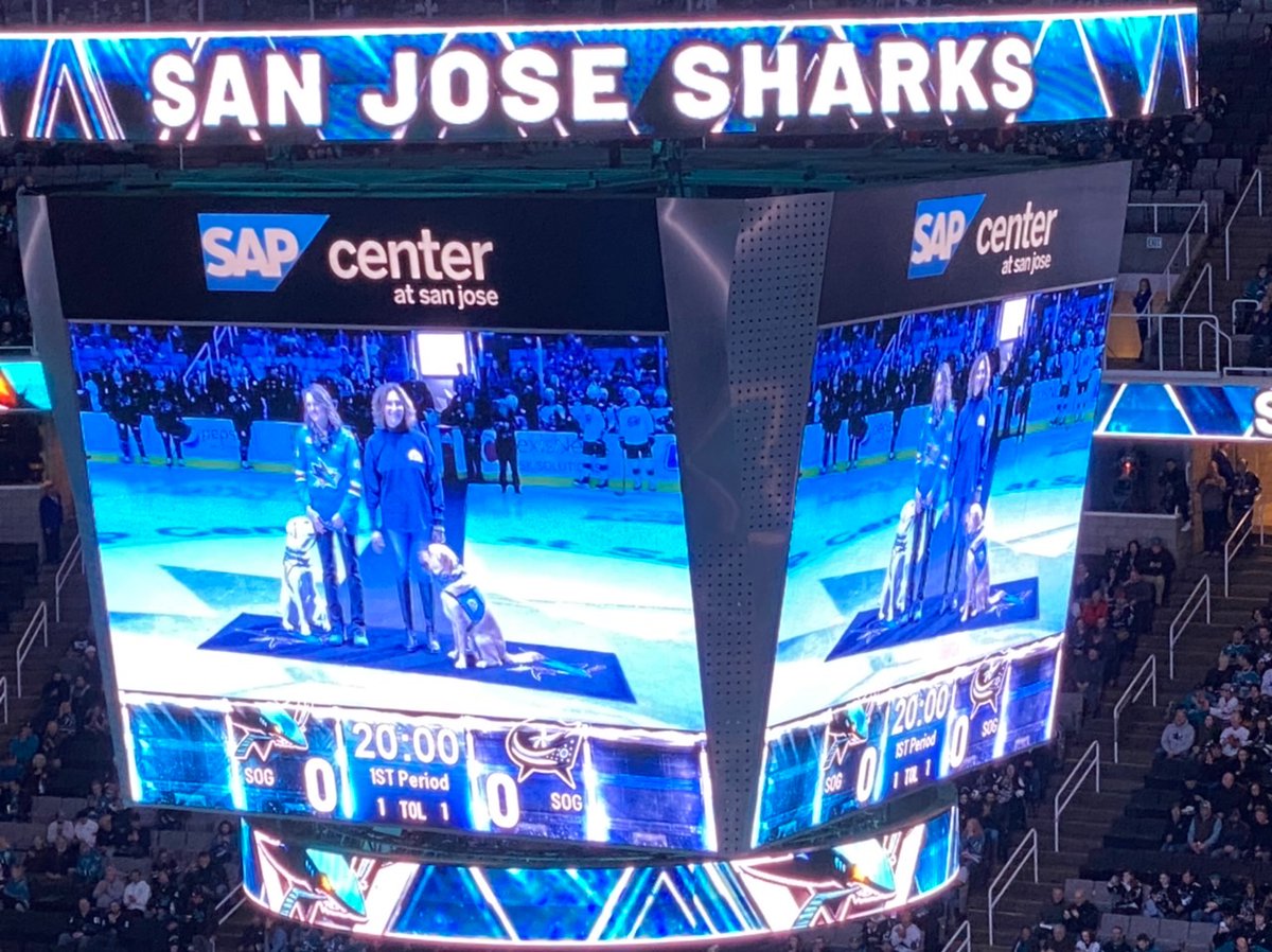 turkeysflying's tweet image. Canine Companions drop ceremonial puck. 

@SanJoseSharks win 3-1.

Bring Doggos to EVERY game!

#PowerPups