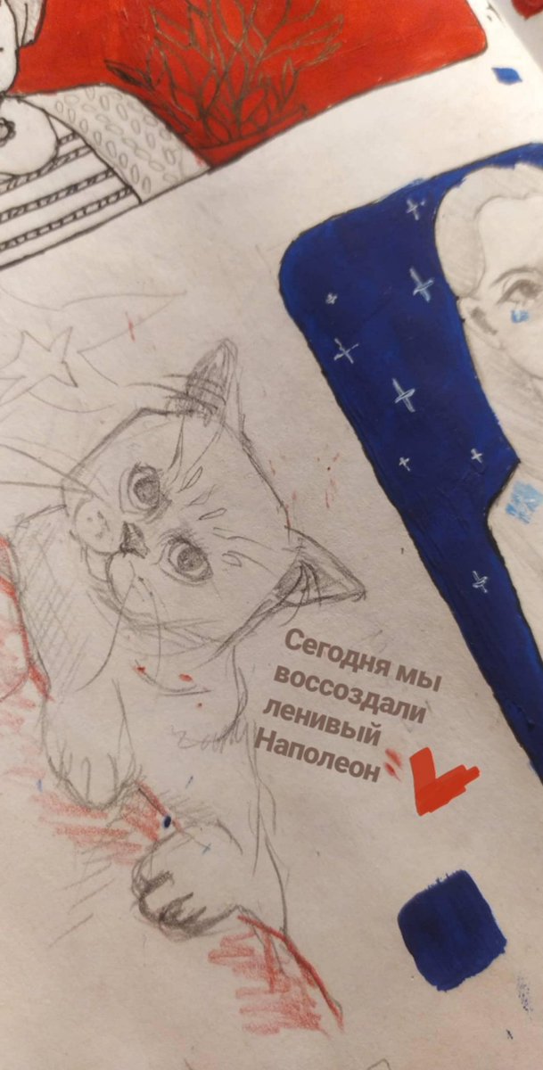 doshirak47's tweet photo. Конечно, самое великолепное это киса https://t.co/9sttsWWwjE