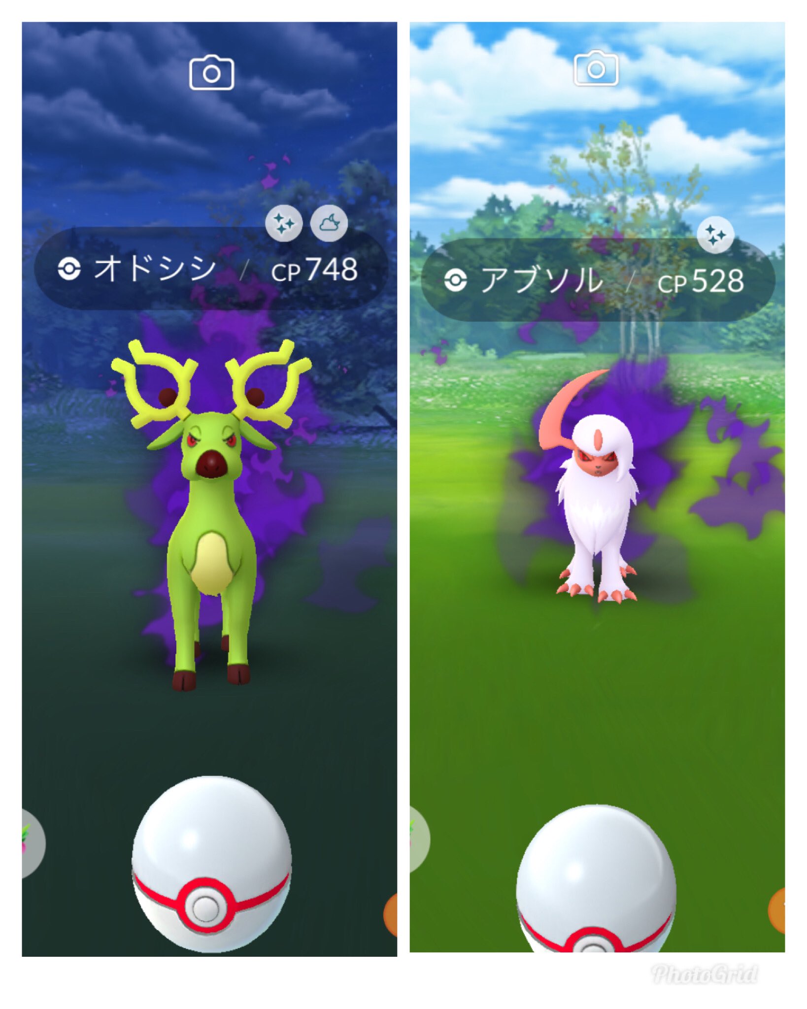 シャドウオドシシ Twitter Search Twitter