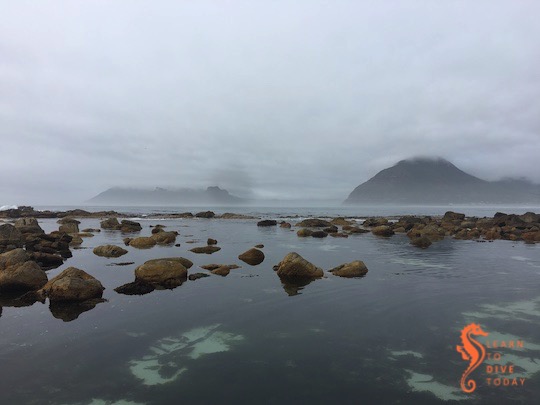 Newsletter: Window of opportunity learntodivetoday.co.za/blog/2020/01/1…