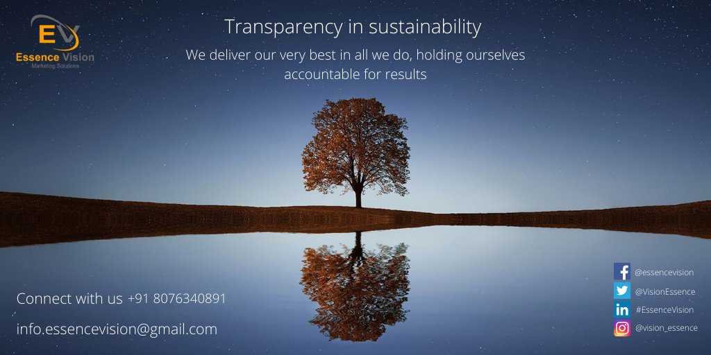 Essence Vision tweet media