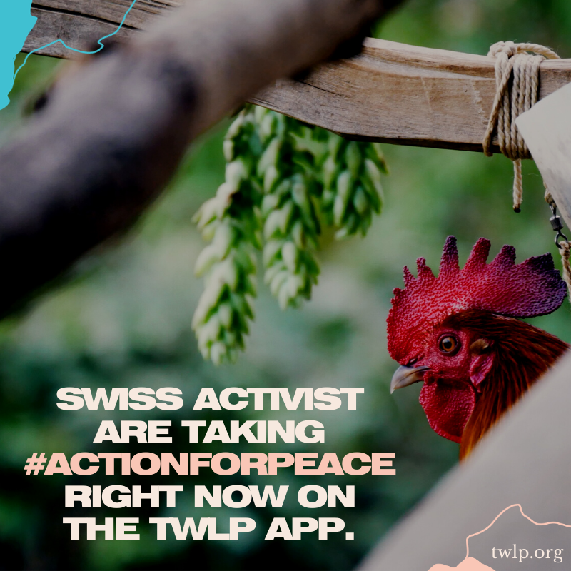twlp_org's tweet photo. Take #ActionForPeace and if you're in Switzerland download the TWLP app here: https://t.co/AOXKAGAavL

#vegan #swiss #Switzerland #chicken #chickens #animal #animals #farm #farming #veganuary #vegans #veganism #twlp https://t.co/43zp0x2NTG