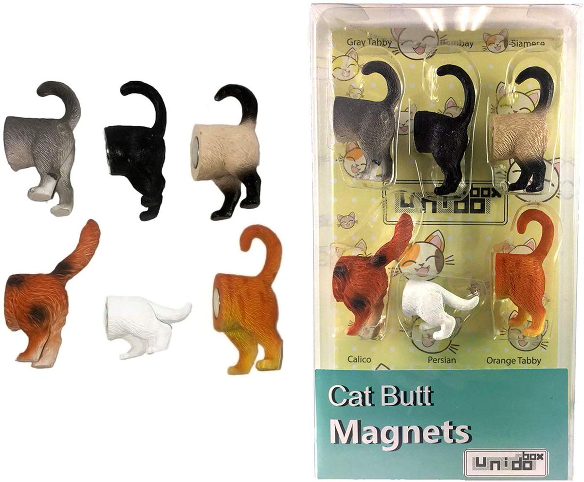 Random Cat Randomfunnycat Twitter