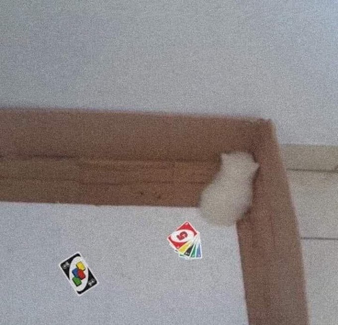 chibleee's tweet image. 