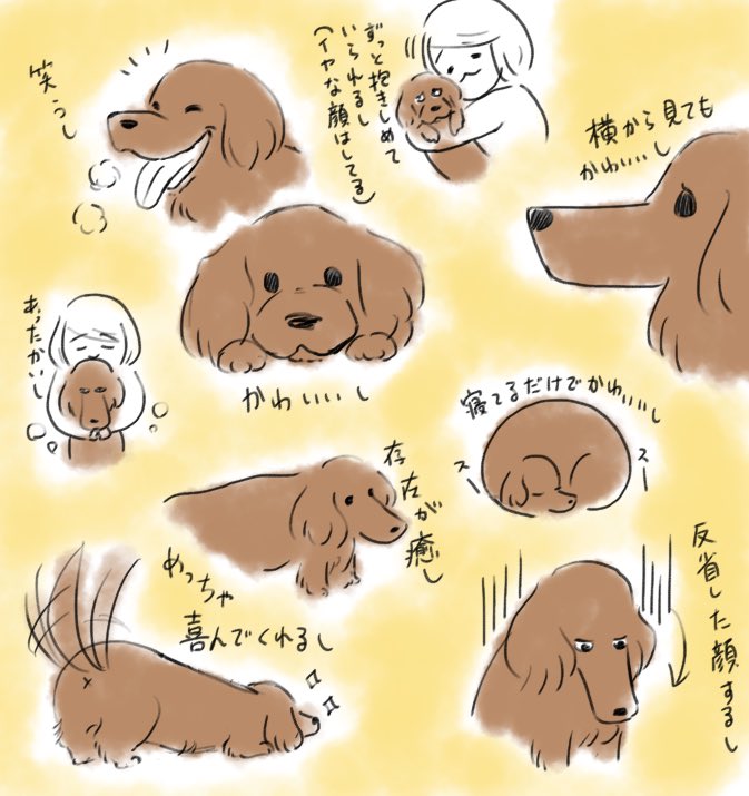 うちの 犬はかわいいぞ でも大変だぞ 犬を飼うなら覚悟して飼うのだぞ まるの漫画