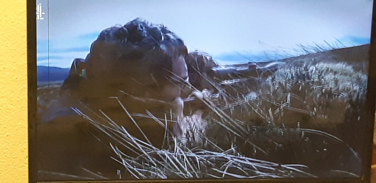 Harold Kingston 🐄 🚜 tweet media