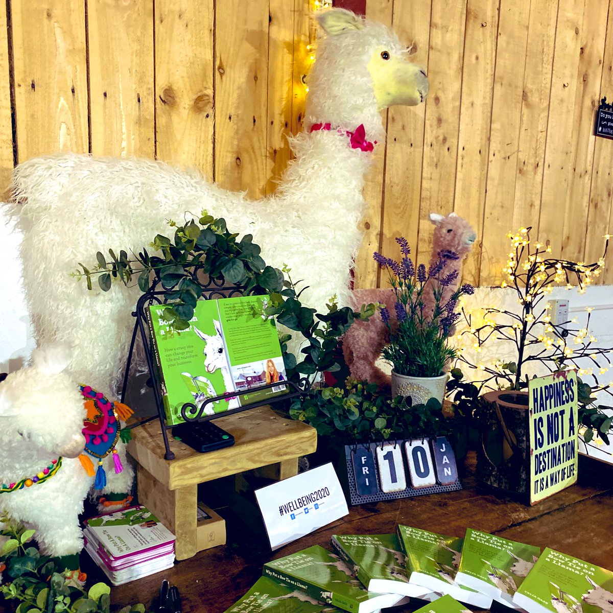 Today is my Book launch!! Why put a bow tie on a llama is currently best seller in four categories!! Check it out in the link below!

amazon.co.uk/Why-Put-Bow-Ti…