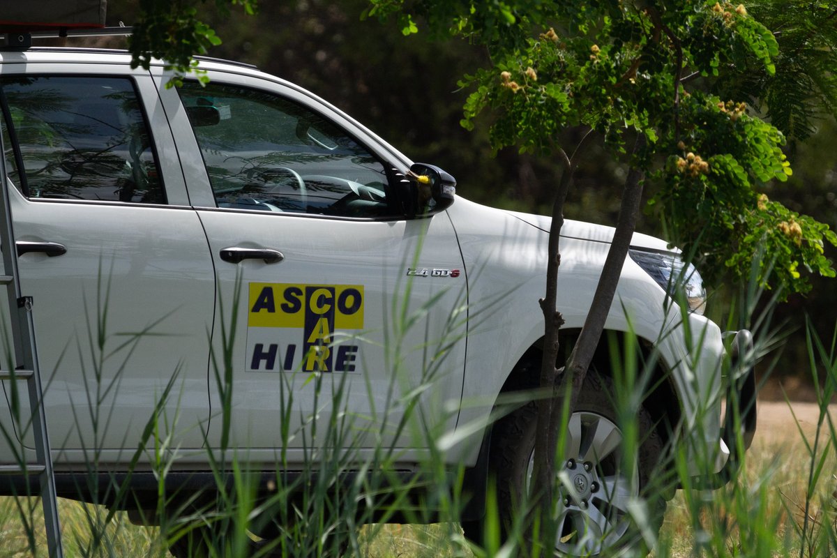 Great memories are made by taking that first step! Make the decision now and contact Asco Car Hire via email info@ascocarhire.com or visit our website ascocarhire.com for your 4x4 needs.

#Namibia #Africa #instatravel #4x4selfdrive #carrentalnamibia #toyota