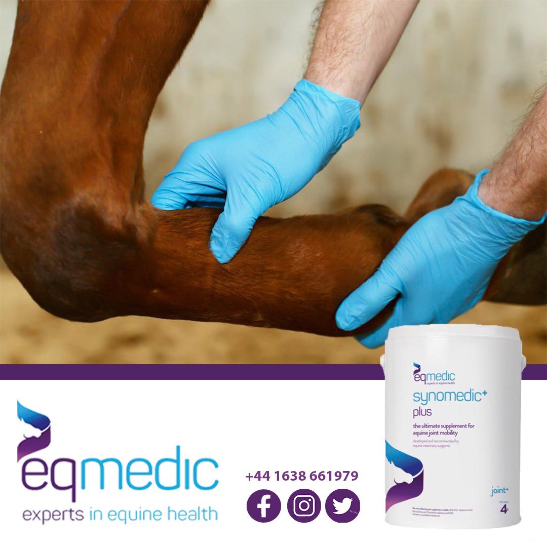 𝐬𝐲𝐧𝐨𝐦𝐞𝐝𝐢𝐜+ 𝐩𝐥𝐮𝐬 the number 1 formula to keep your horse sound &amp; healthy 👌🏼🐴 #EQ #EQMedic #EquineSupplements