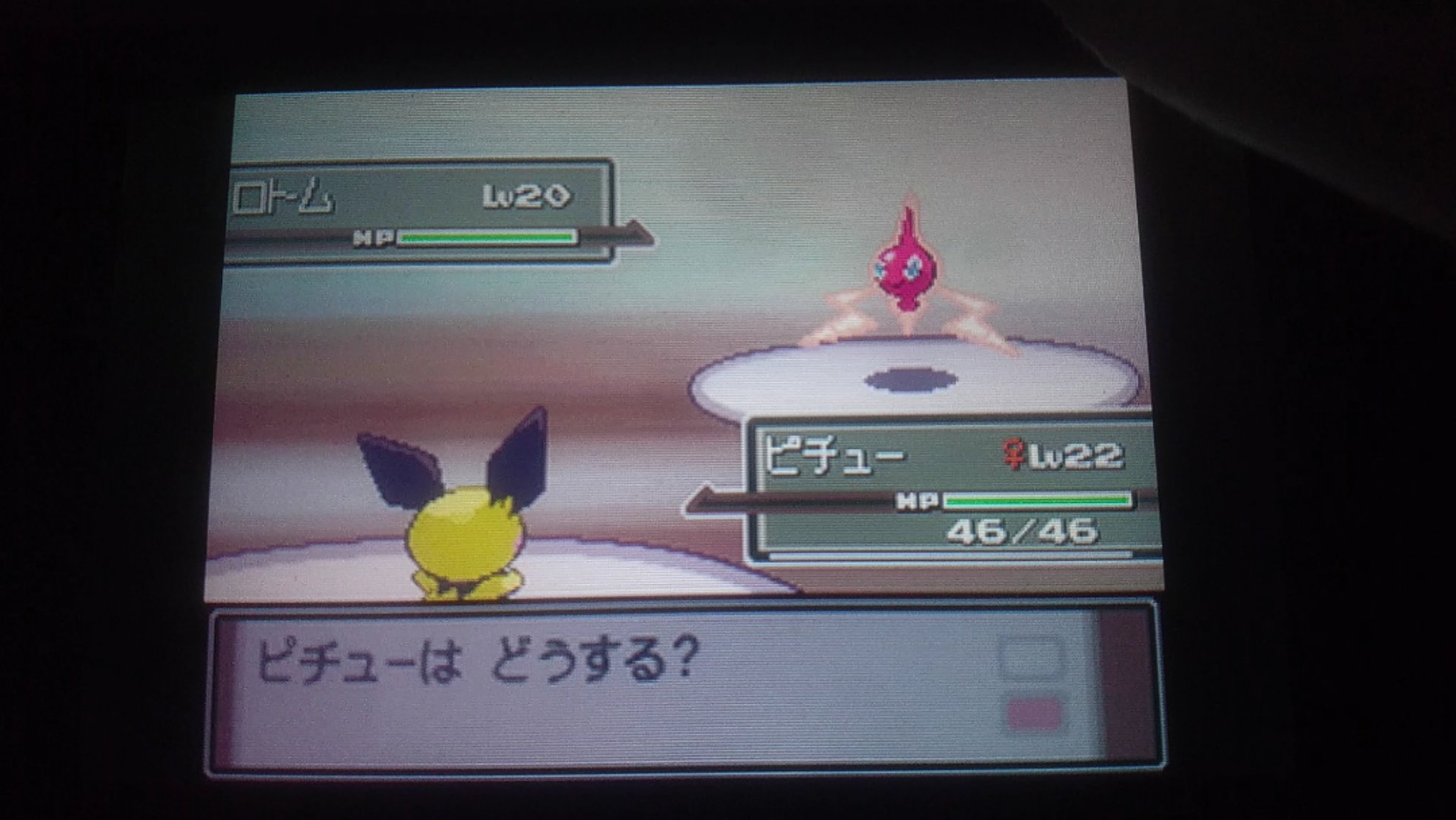 ぱすてる青 遂にプラチナ色違い縛り7匹目の色違いがｷﾀ ﾟ ﾟ ロトム リセット数は過去最悪の回 4台同時なのにこの回数 色違いポケモン 色違い縛り ぱすてる青のプラチナ色違い縛り T Co Gg9cnvle4e Twitter
