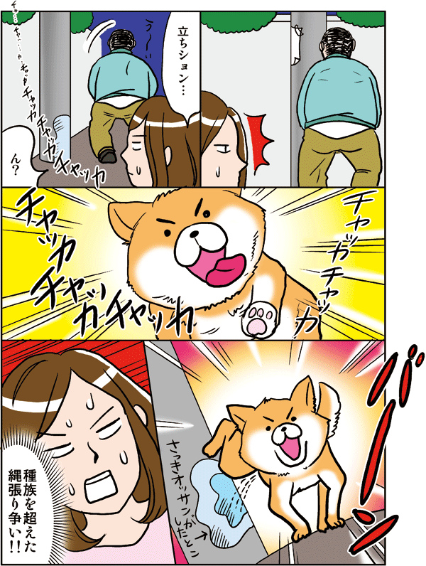 道端で見た犬とおじさんの闘い? 