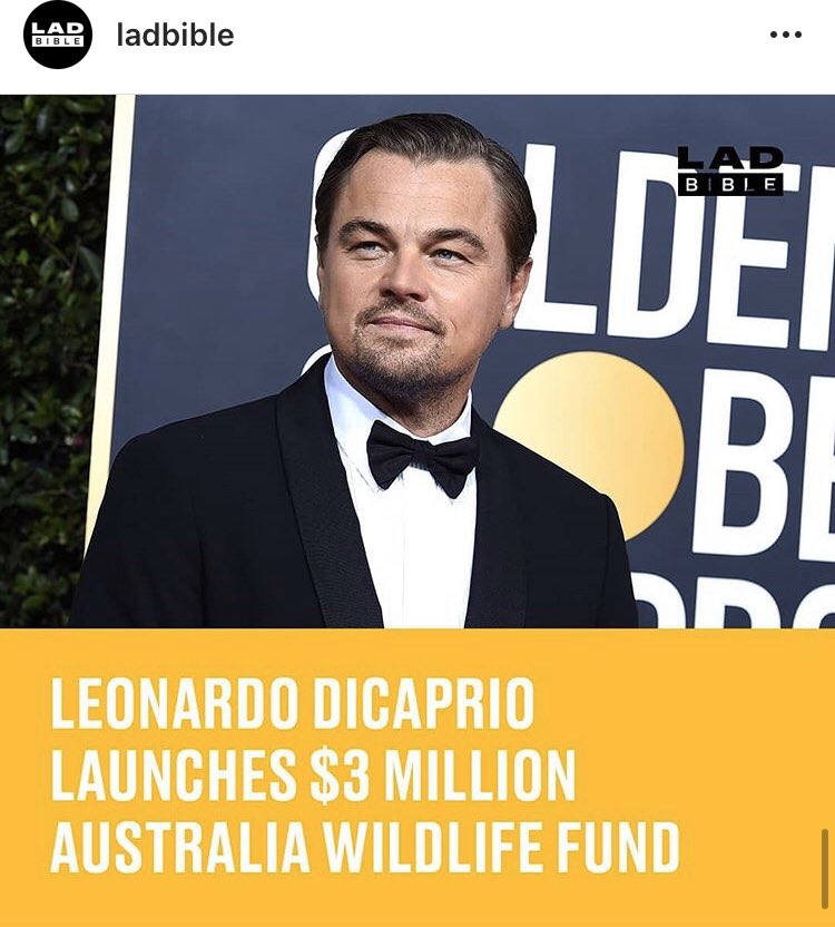 The Money donated will go towards...

- Assisting the firefighters ✅ 
- Supporting affected communities &amp; saving their Wildlife ✅ 
- Along with implementing long term solutions to help restore &amp; repopulate all the unique ecosystems ✅ 
<a href="/earthalliance/">Earth Alliance</a> #AustralianBushfireDisaster