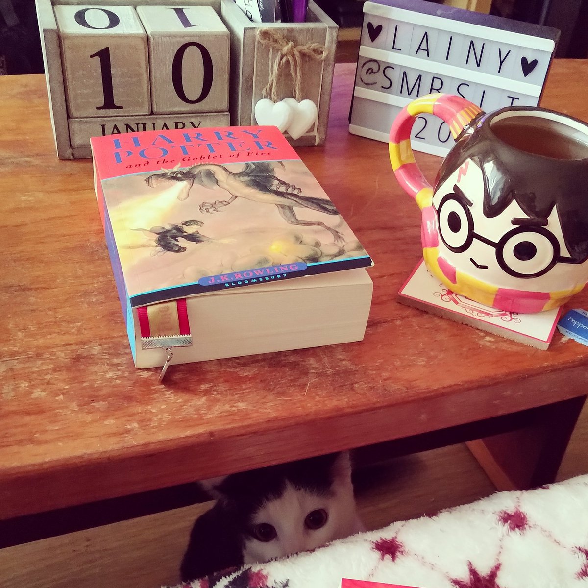 smbslt's tweet photo. #reread #HarryPotter #bookseries #bigbooks #Bloomsbury #HarryPotterandtheGobletofFire #author #JKRowling
#bookmark #mug #harrypottermerch #gryffindor with #pepperminttea #Bigelowtea #tea #geek #harrypottergeek
And peeking out #paws #LunaPaws #blackandwhitecat #creepycat https://t.co/HM9u82IrzG
