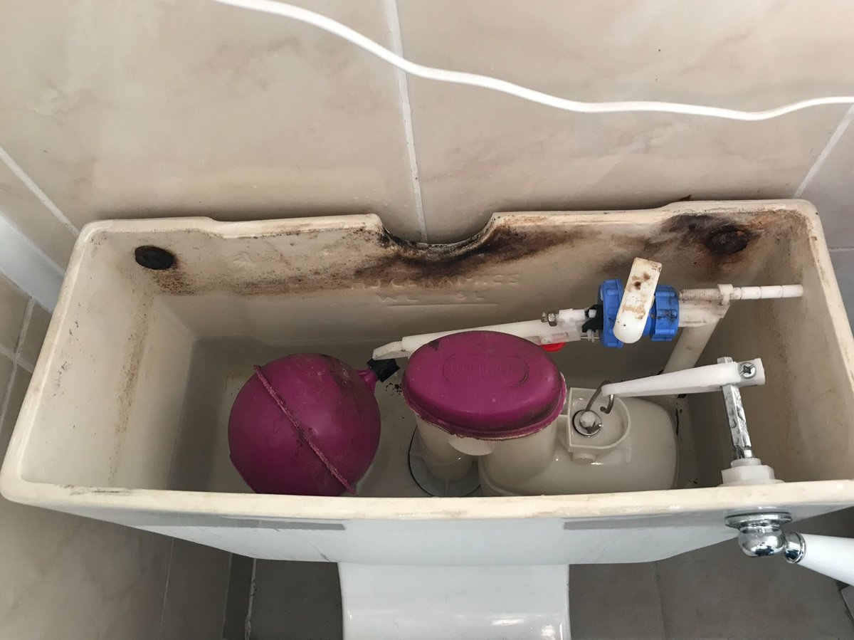 awallisplumbing's tweet photo. A rusted up horrible change this morning @vivasanitary #outwiththeoldinwiththeblue https://t.co/tcwUaSNYui