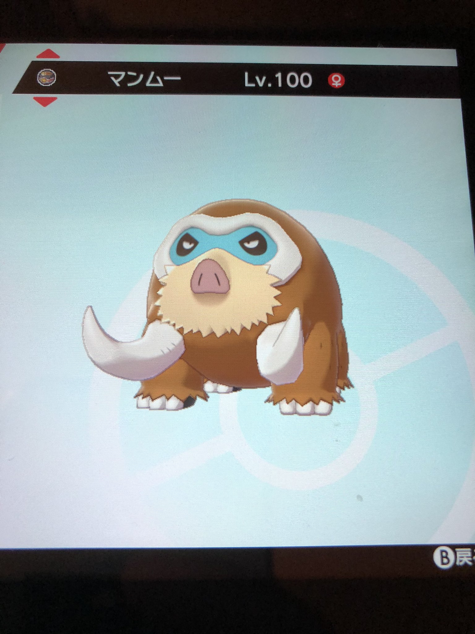 己龍 一色日和 そして私の現相棒はマンムーです 可愛い ポケモン剣盾 T Co Dltatz0wok Twitter