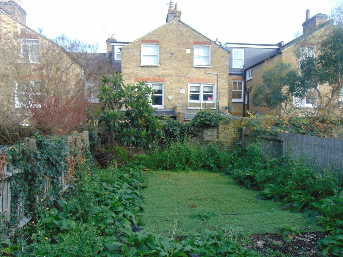 CarterMillsSW2 tweet picture